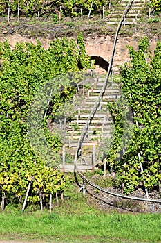 Beilstein, Germany - 10 06 2022: Monorail in the vineyards