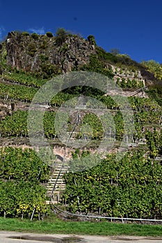 Beilstein, Germany - 10 06 2022: Monorail in the vineyards, low sun