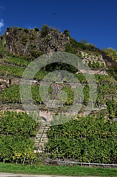 Beilstein, Germany - 10 06 2022: Monorail in the vineyards, sun down mood