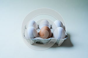 Being different is cool. Studio shot of a box against a grey background containing half a dozen eggs with one egg being