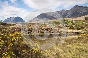 Being Eighe and Liathach photo