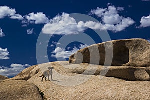 Bektau ata, extinct volcano in Kazakhstan