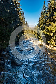 Bela river near Podbanske in Tatra mountains in Slovakia