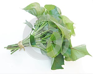 Belacan Yam Leaf