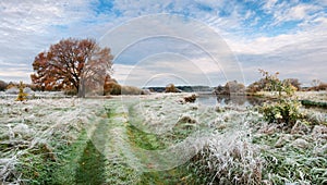 Belarus.Autumn Morning Landscape With First Frost On Green Grass, Yellow Lonely Oak And Small River.Panorama With Frosty Grass