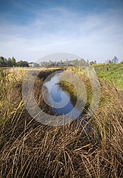 Belarus: autumn nature of marshy edge