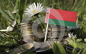 Belarus flag with stack of money coins with grass
