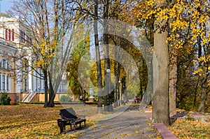Belarus, Gomel, alley in autumn park