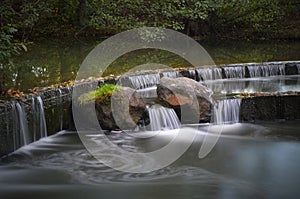 Belarus, Minsk: forest park Thrushes (Drozdy), autumn falls. Close up.