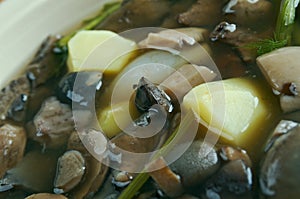 Belarussianmushroom soup