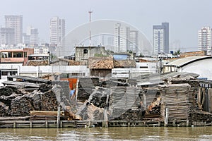 Belem: lumberyard on the Guama River