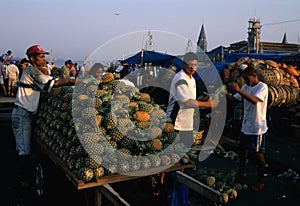 BELEM - Ver o Peso Market