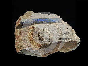 Belemnite fossil opal