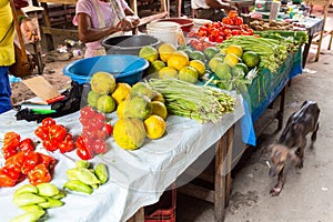 Belen Market, Iquitos, Peru photo