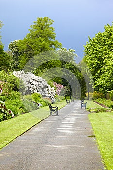 Belfast Botanic Gardens