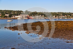 Belfast Maine harbor at low tide in early morning light