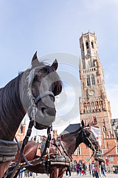 Belfort tower in Bruges at the Market Square with horses, Belgium.