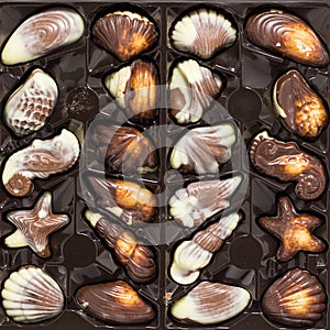 Belgian chocolate pralines set in box