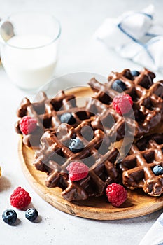 Belgian chocolate waffles, glass of milk on a gray background