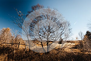 Belgian landscape High Fens