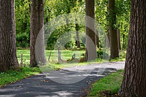 Belgian landscapes. Winding road in the countryside.