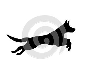 Belgian malinois dog jumping running silhouette logo