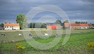 Belgian pastoral view photo
