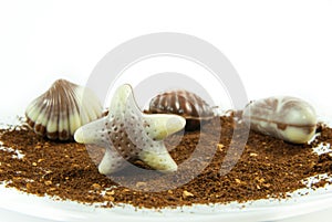 Belgian praline in the form of starfish