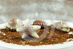 Belgian praline in the form of starfish