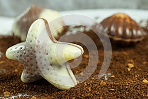 Belgian praline in the form of starfish