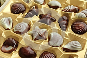 Belgian pralines