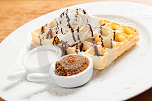 Belgian Waffle with whipped cream