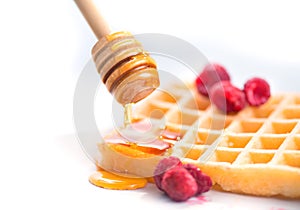 Belgian waffles with honey and berries closeup