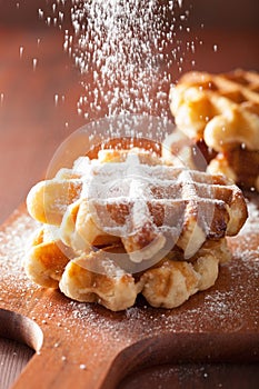 Belgian waffles sprinkled with icing sugar