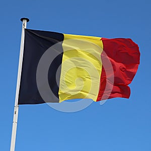Belgium flag in the wind