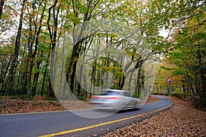 Belgrad Forest, ÃÂ°stanbul Turkey