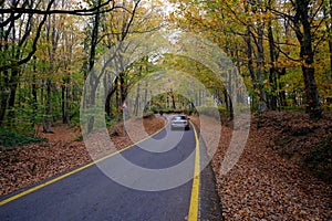 Belgrad Forest, ÃÂ°stanbul Turkey