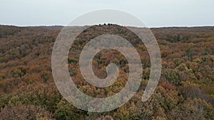 Belgrad Forest, Ä°stanbul Turkey