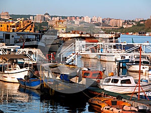 Belgrade boats