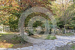 The Belgrade Forest is a naturally occurring wooded area on the European side of Istanbul