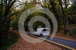 The Belgrade Forest is a naturally occurring wooded area on the European side of Istanbul