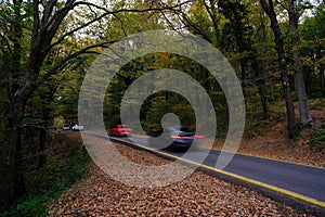 The Belgrade Forest is a naturally occurring wooded area on the European side of Istanbul