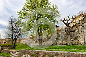 Belgrade Fortress. Serbia