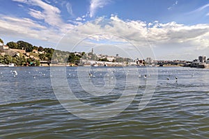 Belgrade Panorama with Kalemegdan Fortress and Tourist Nautical Port on Sava River