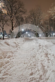 Belgrade Park Winter