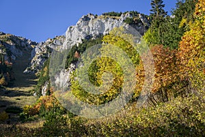 Belianske Tatras in autumn. Slovakia