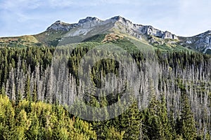 Belianske Tatras scenery, Slovakia, hiking theme