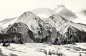 Belianske Tatry mountains in winter, Slovakia, colorless