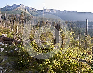 Belianske Tatry panorama