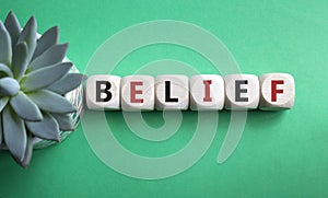 Belief symbol. Concept word Belief on wooden cubes. Beautiful green background with succulent plant. Business and Belief concept.